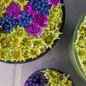 flowers_by_bornay_Combinacion_colores
