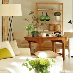 Diseño Interior - Salón Comedor natural