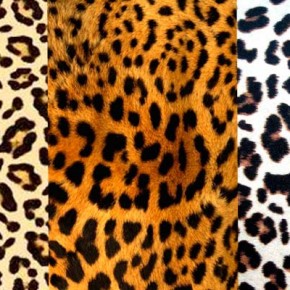 Animal Print