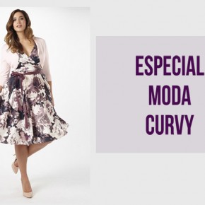 moda curvy